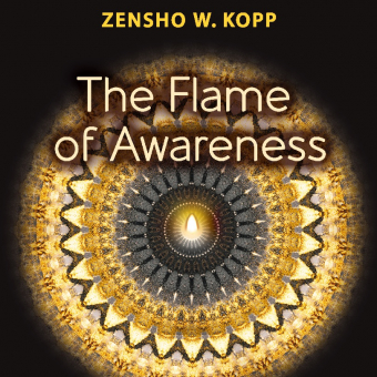 The Flame of Awareness 