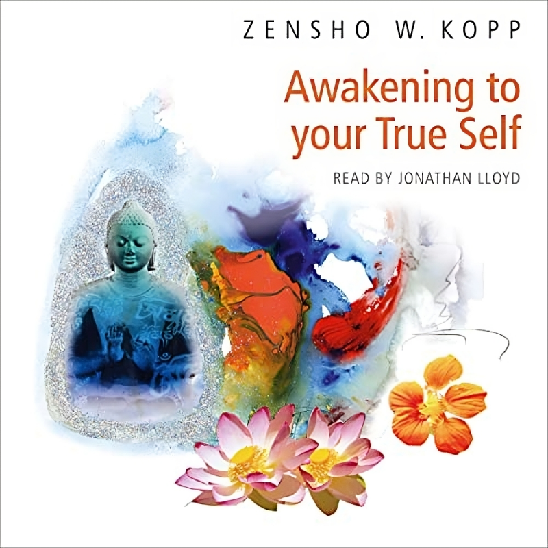 Audiobook (CD): Awakening to your True Self